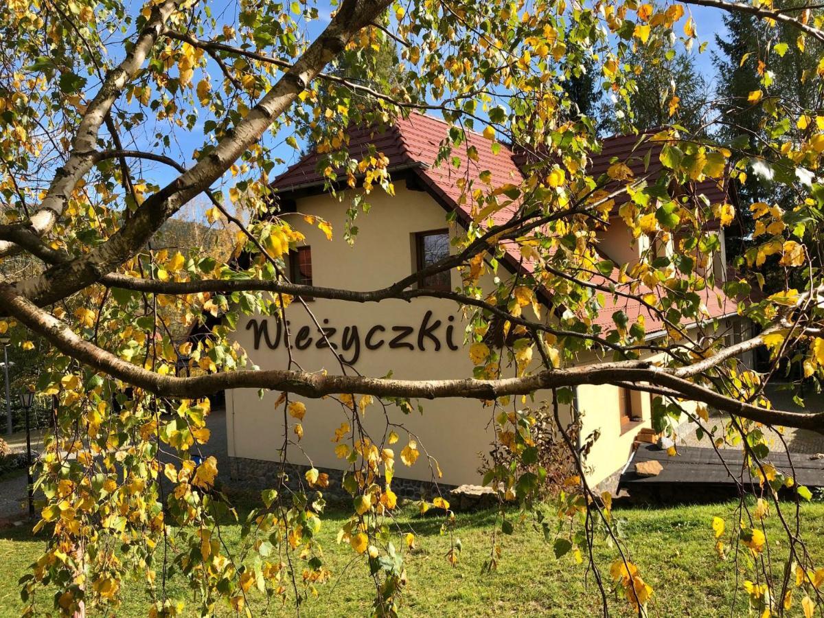 Willa Wiezyczki Świeradów-Zdrój Dış mekan fotoğraf